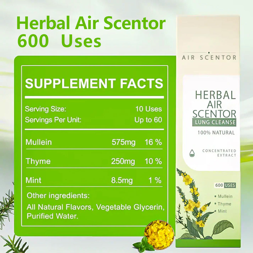 🔥Mullein Aroma Air Scentor – Relief for Cough, Congestion & Breathing Comfort2.0💝