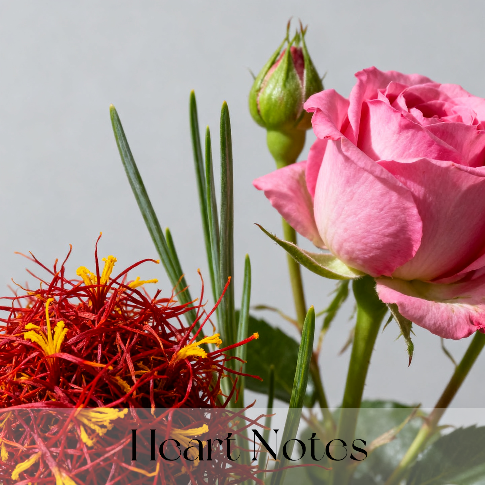 Honey Oud Unisex Perfume – A Luxury Fragrance for Men & Women