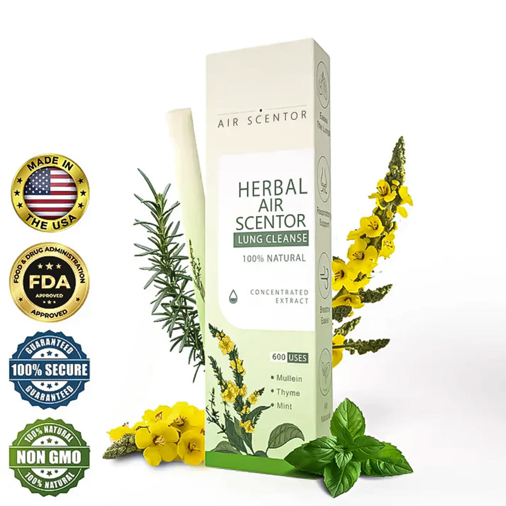 🔥Mullein Aroma Air Scentor – Relief for Cough, Congestion & Breathing Comfort2.0💝
